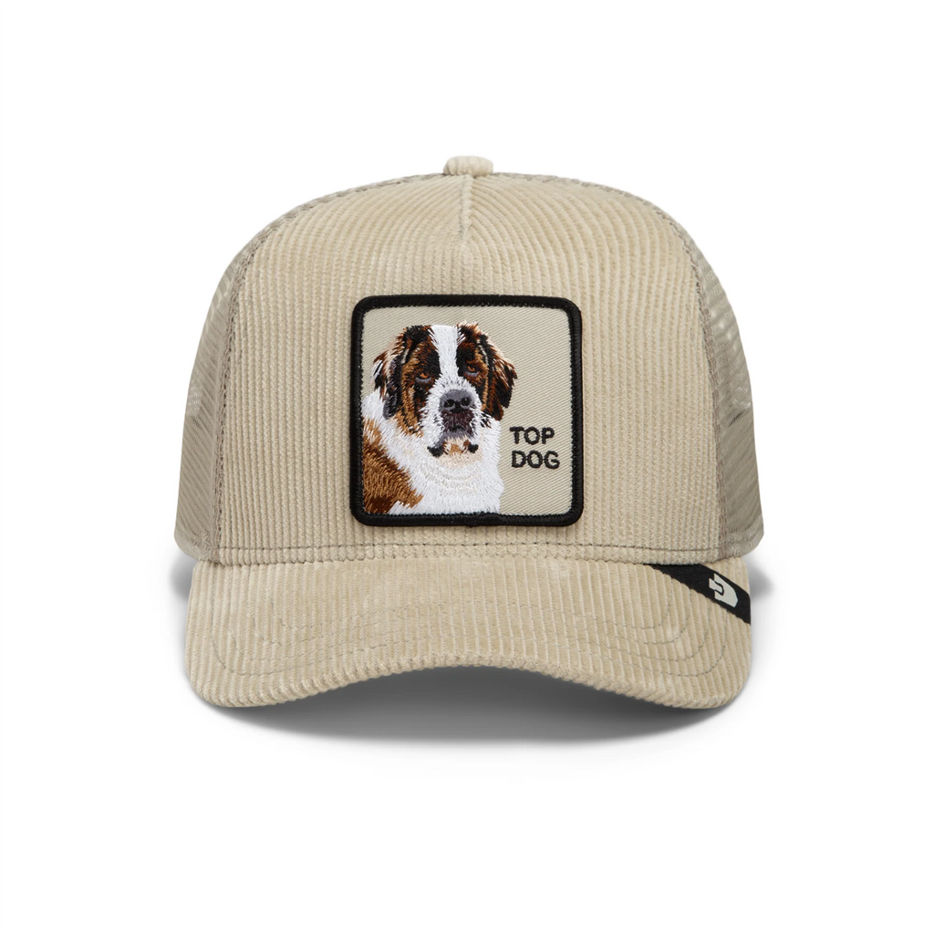 Goorin Bros Corduroy Top Dog-SCOUT
