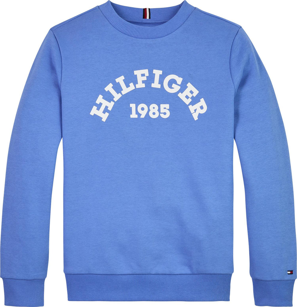 Tommy Hilfiger collegegenser