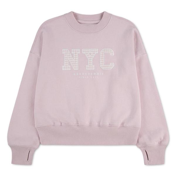 Abercrombie & Fitch NYC GINGHAM SWEATSHIRT
