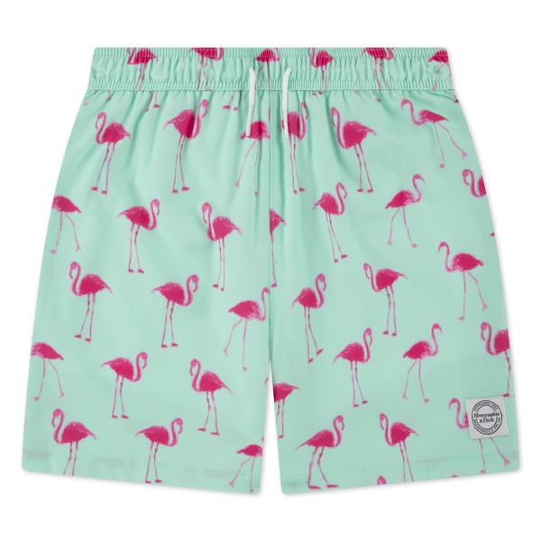 Abercrombie & Fitch peikan badeshorts