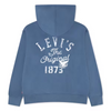 Levis original vintage hettegenser