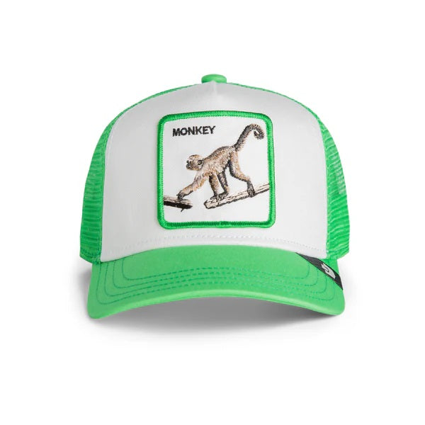 Goorin Bros Cruise caps Envy