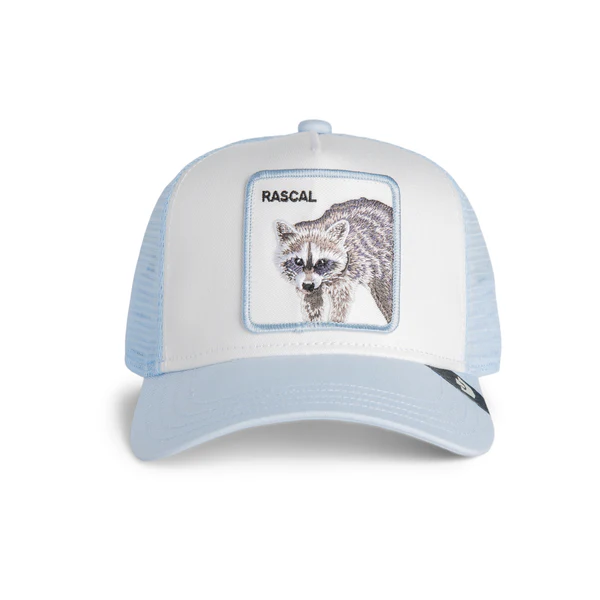 Goorin Bros Rascal Raccoon Mini Rascal