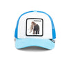 Goorin Bros Cruise caps Mammoth Kiddo