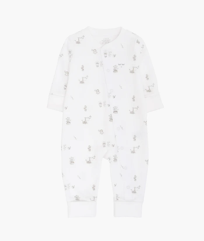 Livly Celebration Parade Overall