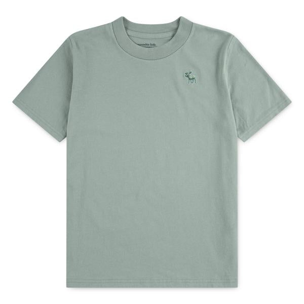 A&F essentiel tskjorte til gutt
