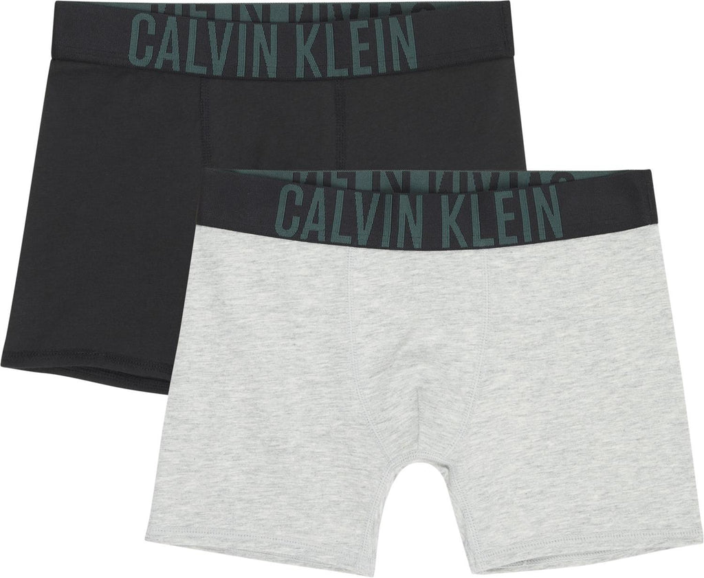 Calvin Klein 2pk boxershorts