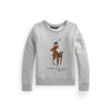 Polo Ralph Lauren Collegegenser